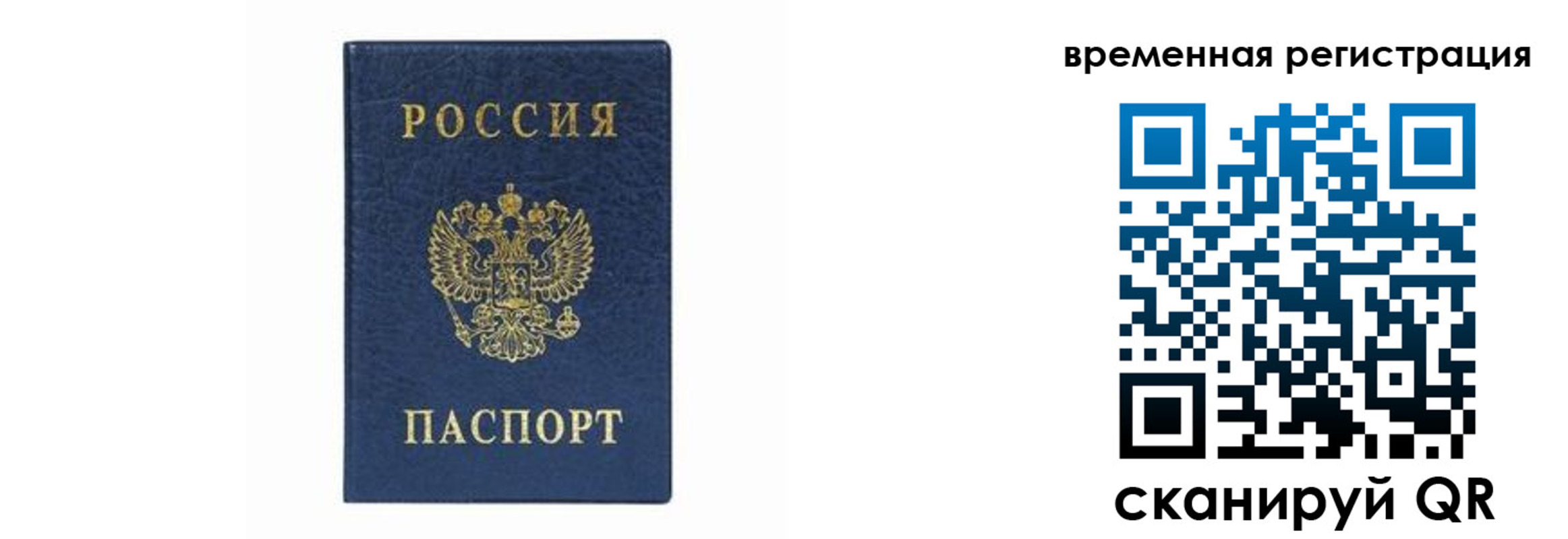 прописка от собственника в Снежногорске